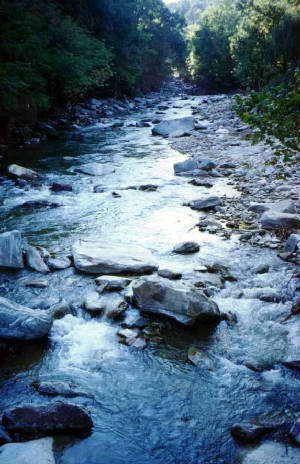 riverphoto.10.jpg