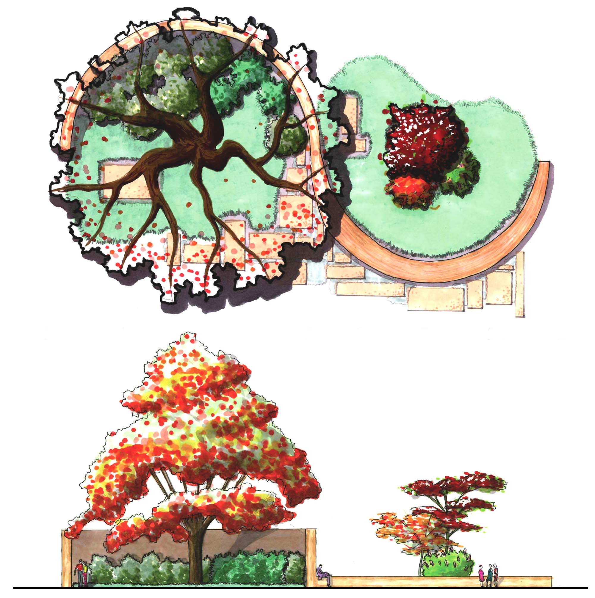 plants4.1copy.jpg